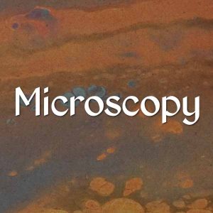 Microscopy